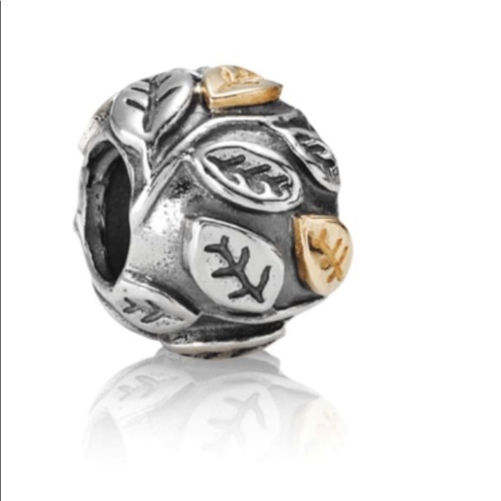 Pandora two tone charm